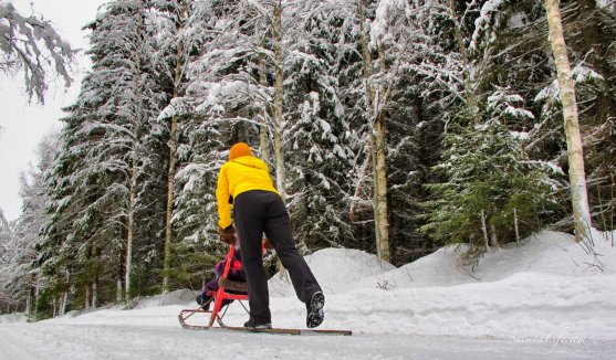 winter-kicksledging