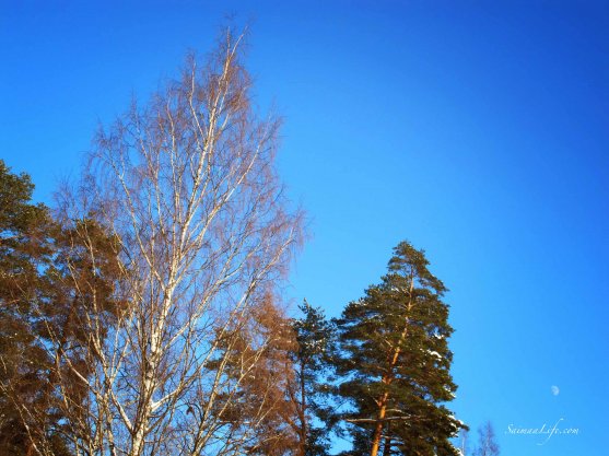 winter-blue-sky