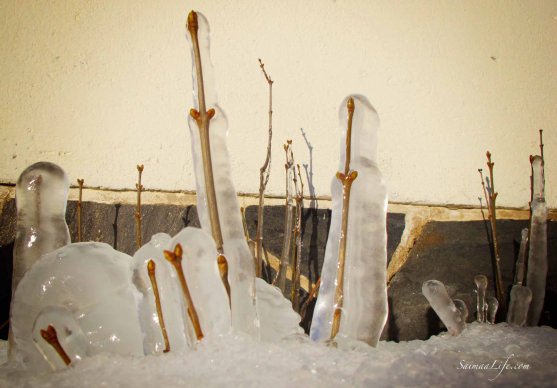 winter-ice-formations