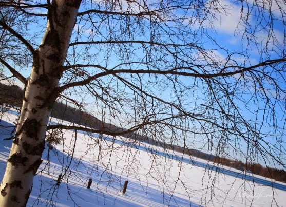 winter-lake-view