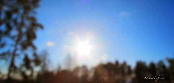 winter-sun
