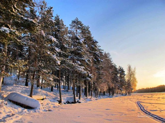 frozen wintery landscape from Savonlinna Finland