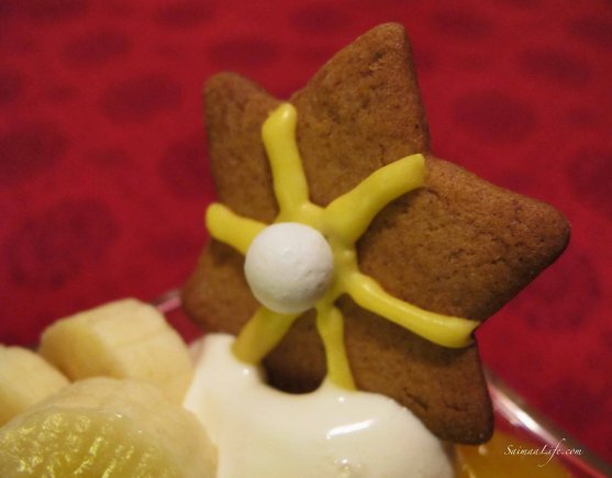 christmas-gingerbread-cookie