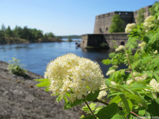 backside-of-olavinlinna-castle