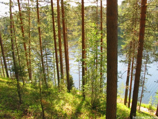 finnish-national-landscape