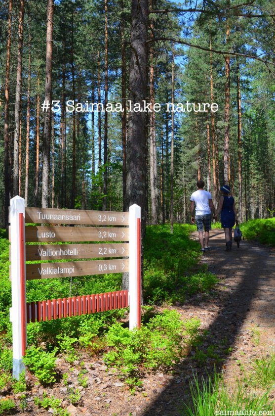 the-beginning-of-nature-trail-in-kruunupuisto