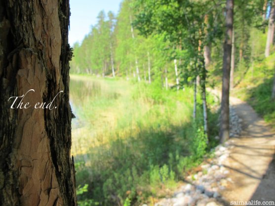 walking-path-in-punkaharju-ridge-area