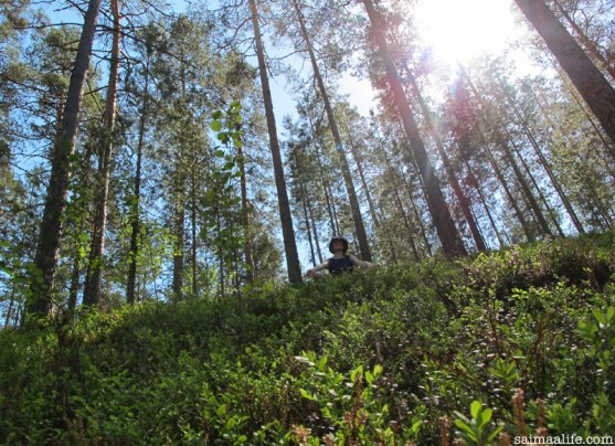 woman-practising-yoga-in-nature