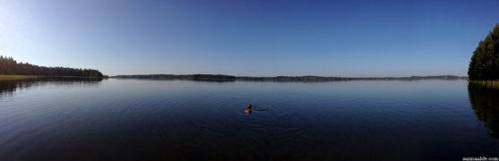 calm-summer-morning-on-lake-puruvesi