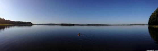 calm-summer-morning-on-lake-puruvesi
