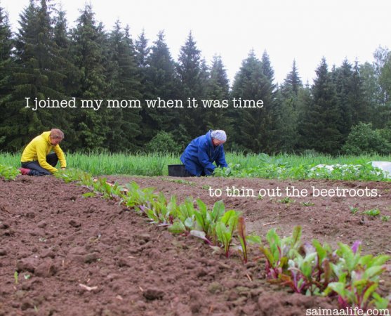 mother-and-daughter-working-togethr-on-vegetable-garden