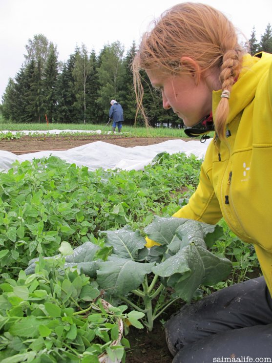 mother-weeding-vegetable-garden