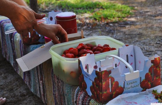 strawberries