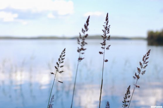 sunny-summer-day-on-lake