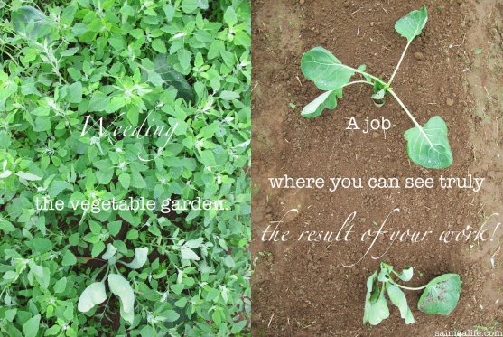 weeding-job-where-you-can-see-result-of-your-work