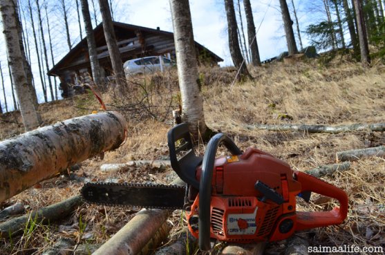 finnish-cottage-and-birch-wood