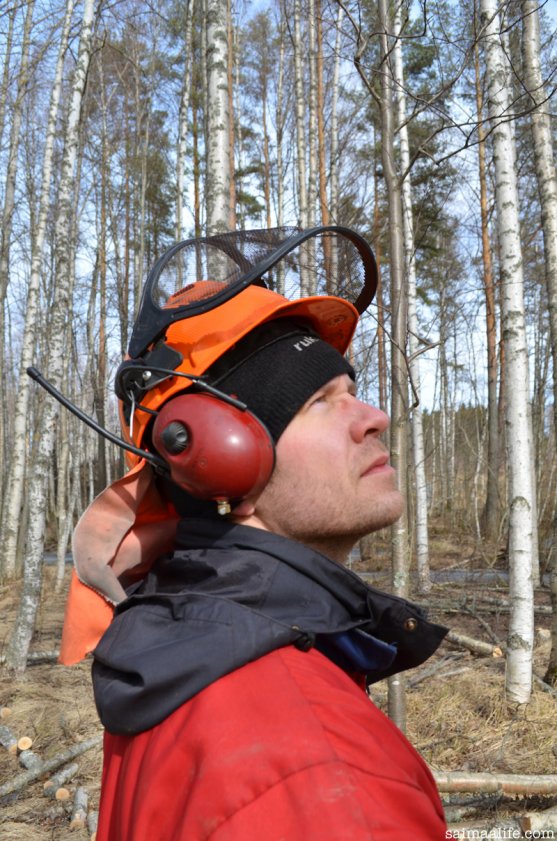 finnish-timberjack-in-birch-forest