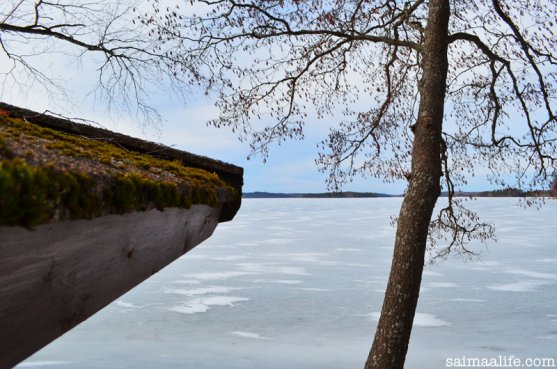 lake-puruvesi-in-spring