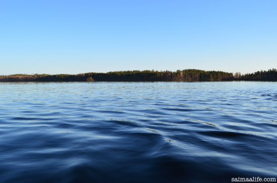 stillness-of-finnish-lake-nature-in-spring-evening