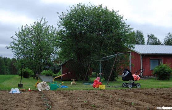 child-playing-next-to-vegetable-garden