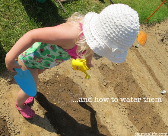 child-watering-vegetable-garden