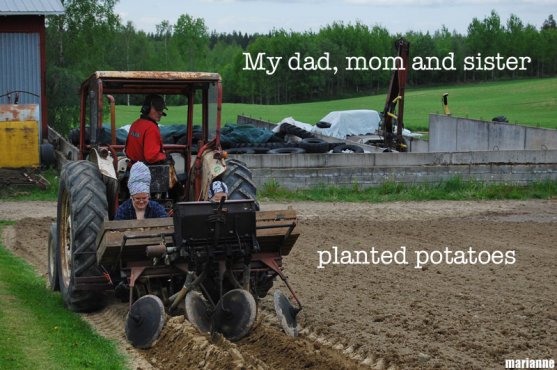 grandparents-and-sister-planting-potatoes