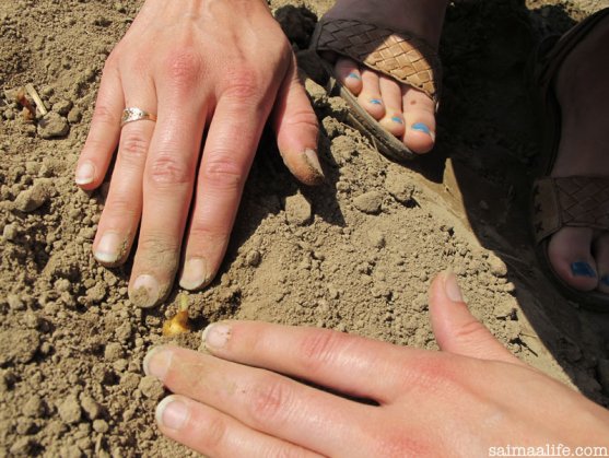 mother-planting-onions