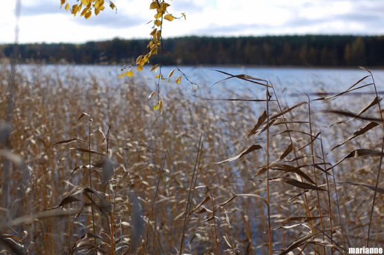 autumn-lake