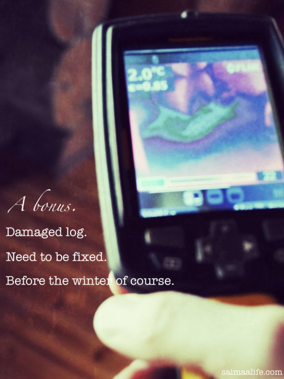 damaged-log