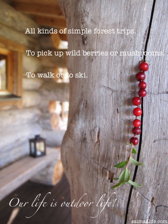 finnish-wild-lingonberries