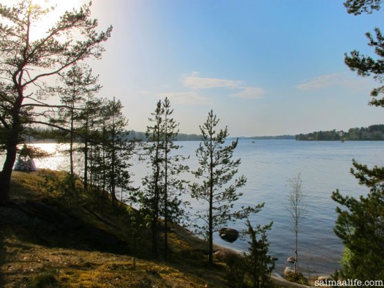 finnish-lake-nature-natural-wellbeing