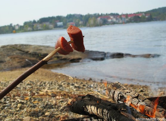 grilled-sausages-and-lake-nature