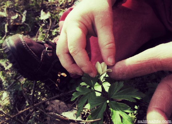 mother-and-child-looking-at-spring-flowers