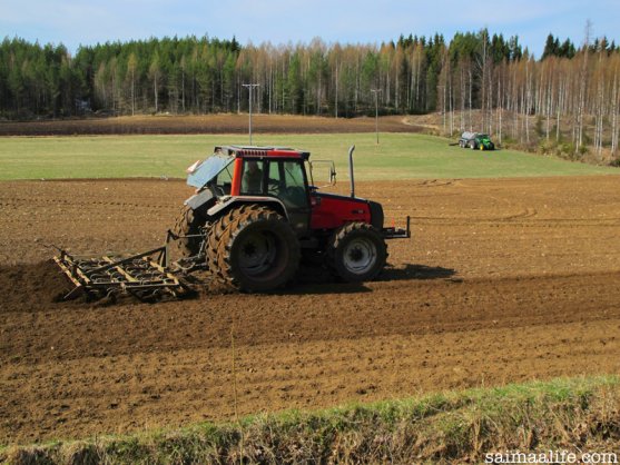 spring-in-farm-and-finnish-countryside