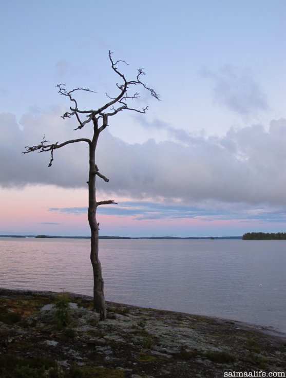 bright-and-silent-midsummer-night-in-finland