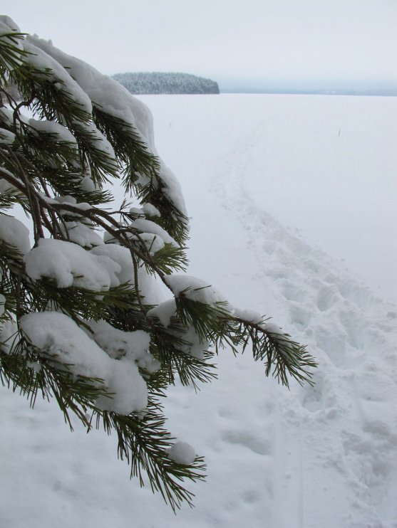 winter-finnish-lake-nature-scenery