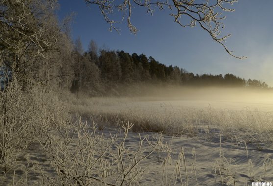 winter-lake-nature