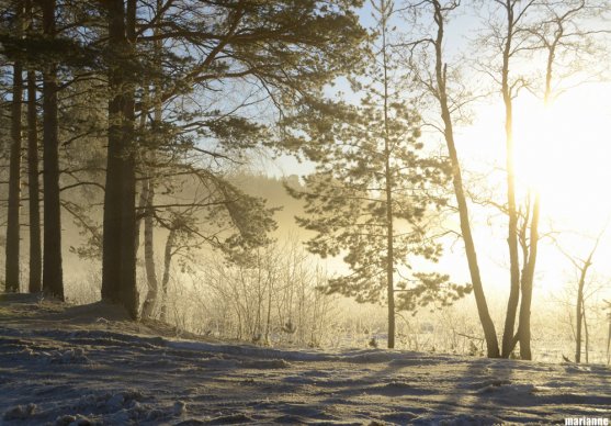 winter-lake-scenery