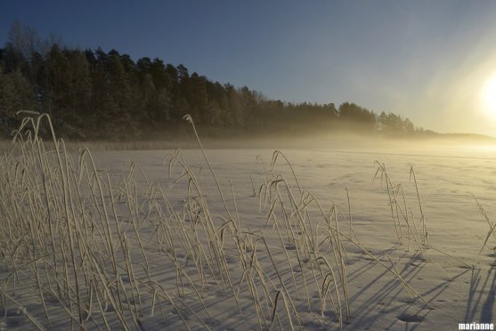 winter-sunrise-on-lake