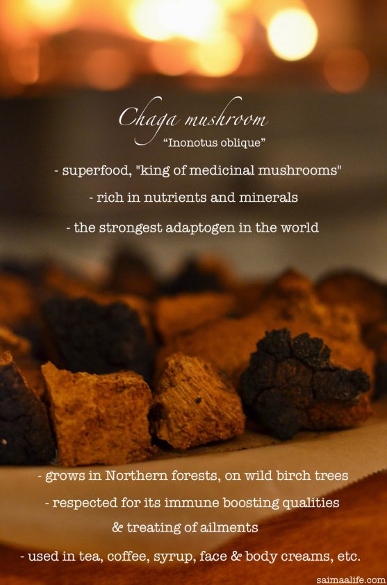 chaga-mushroom-superfood