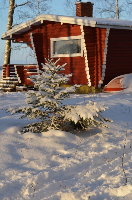 finnish-lakeside-cottage-in-winter