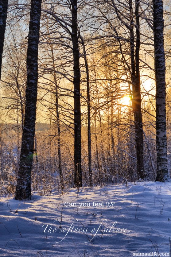 silent-winter-scenery