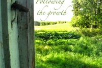 Following the growth