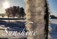 Sunshine