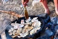 Easy recipes
