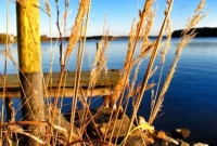Fresh air