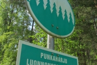 11-punkaharju-nature-reserve