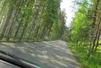 12-punkaharju-landscape-route