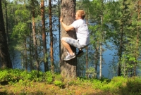 24-man-in-a-tree-by-the-lake-saimaa