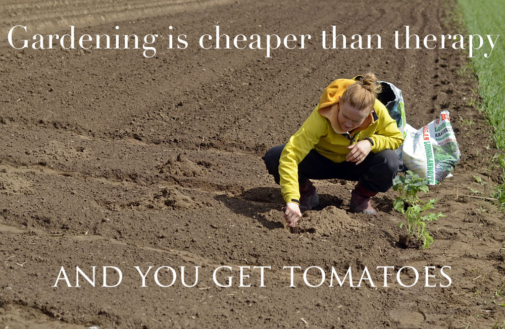 gardening-is-cheaper-than-tomatoes-quote